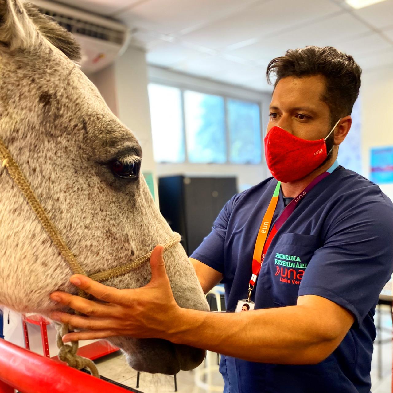 Marcas  Cavalos, Medicina veterinária, Animais de estimação